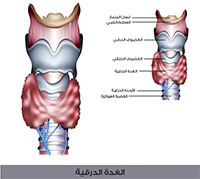 الغدة الدرقية